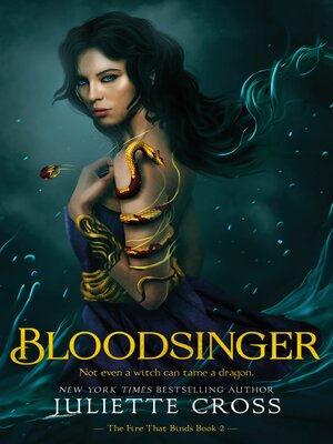 cover image of Bloodsinger